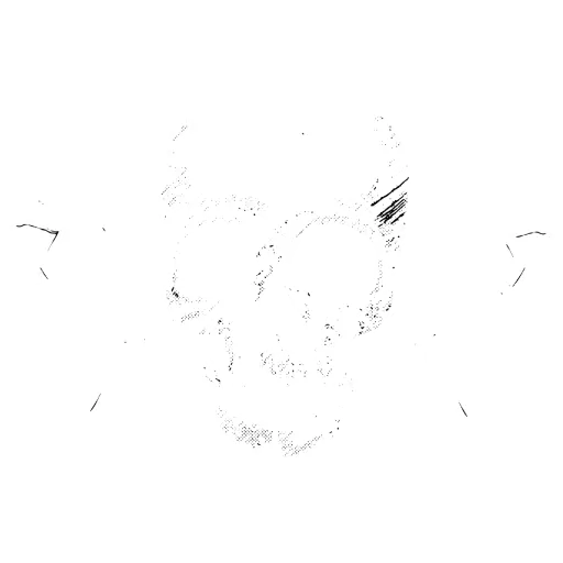 RunsXRoses